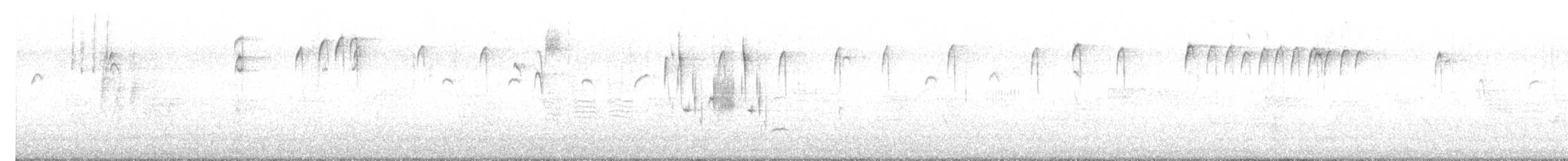 Mésange à tête noire - ML647488786