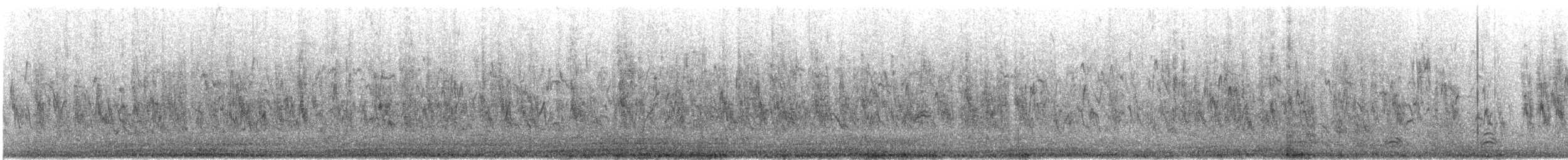 Moineau friquet - ML647488822