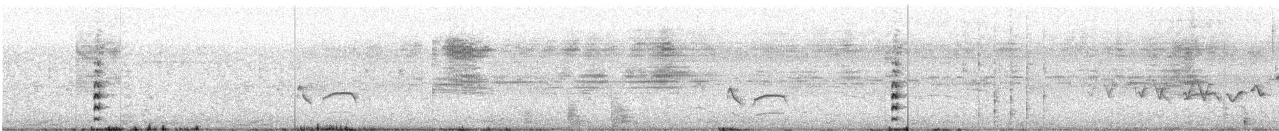 Gallinule d'Amérique - ML647489041