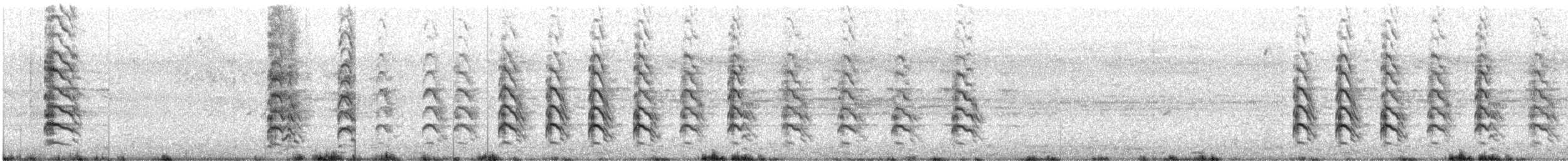 Vanneau téro - ML647489065