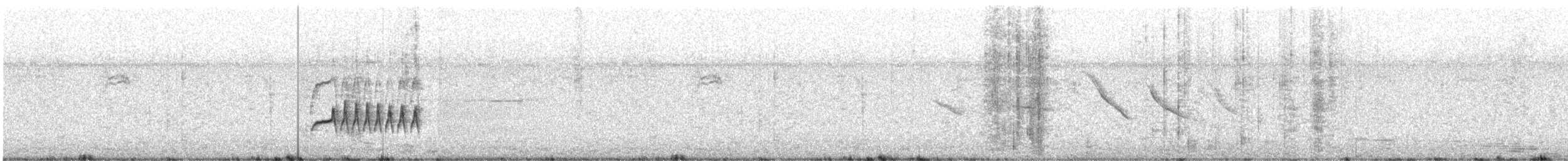 Moucherolle fascié - ML647489129