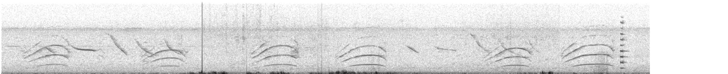 Tyran quiquivi - ML647489137