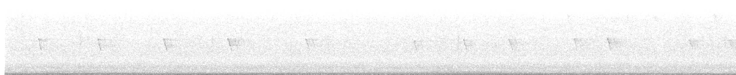 クロツキヒメハエトリ - ML647489451