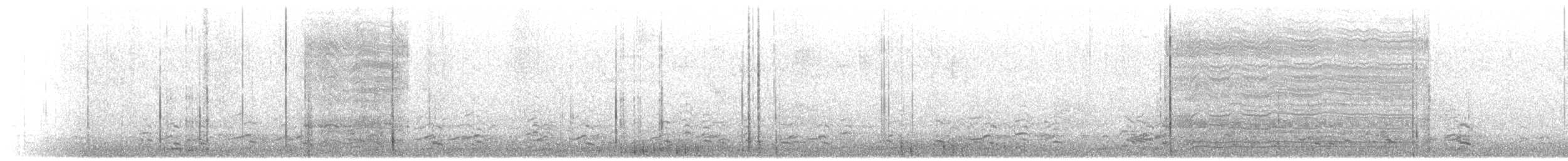 Greater White-fronted Goose - ML647489624