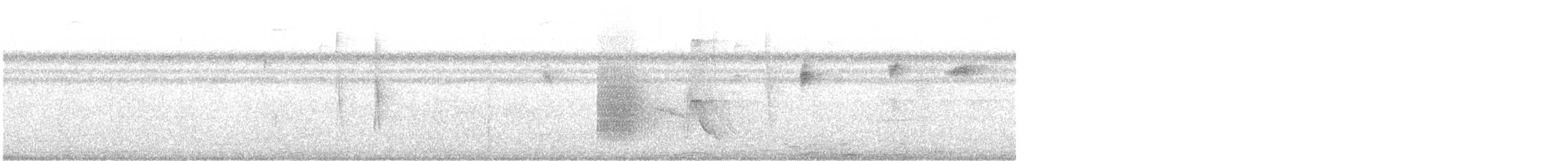 White-collared Manakin - ML647489688