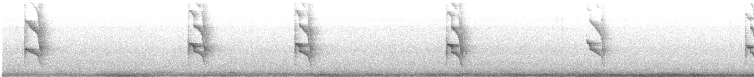 Красношапочный бентеви - ML647489906