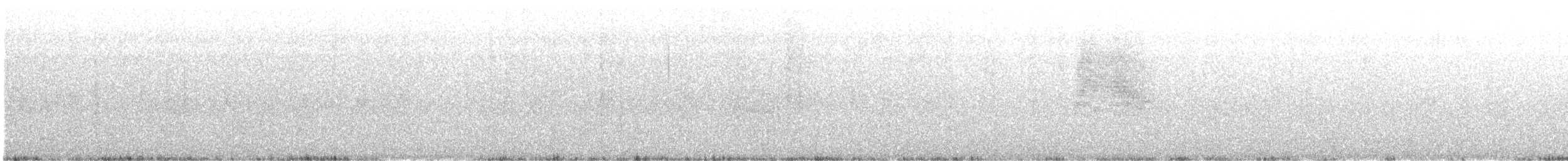 White-browed Gnatcatcher - ML647490235