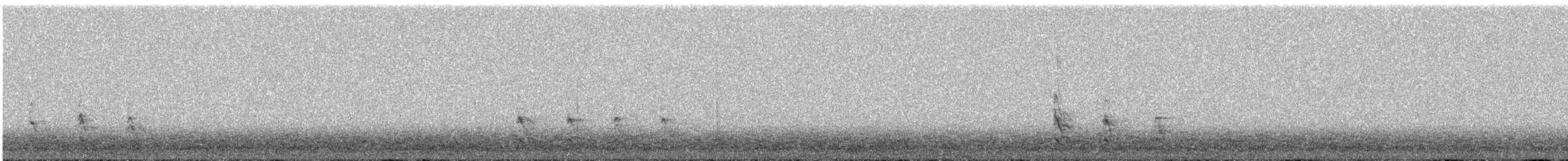 Red-bellied Woodpecker - ML647490292