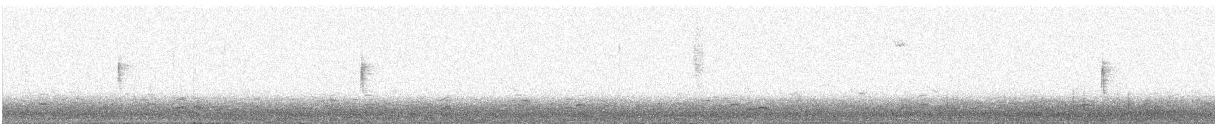 Yellow-rumped Warbler - ML647490714