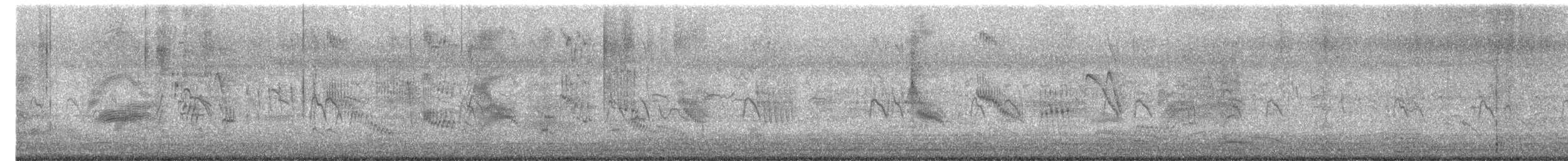 sitronerle - ML647491605