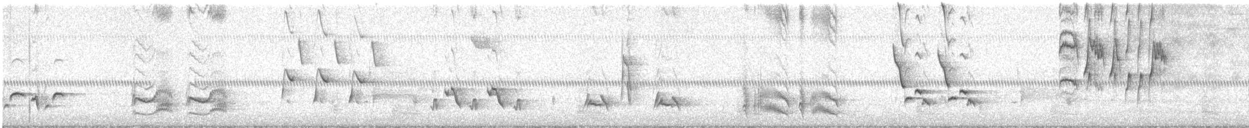 Brown Thrasher - ML647492474