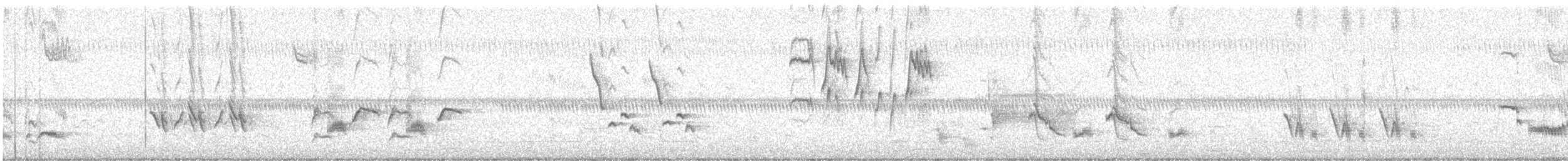 Brown Thrasher - ML647492475