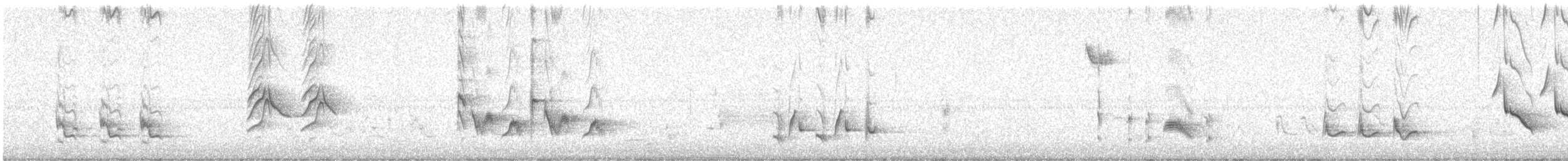 Brown Thrasher - ML647492476