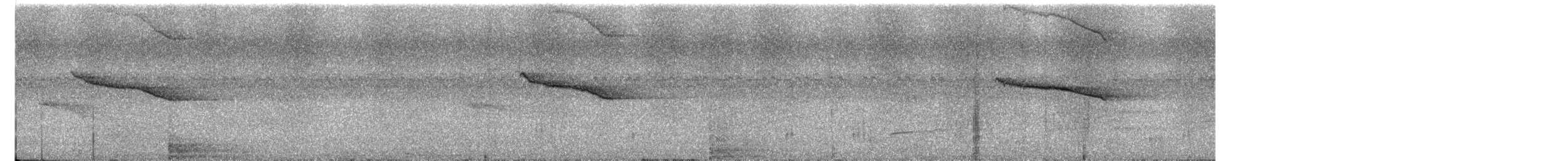 Oriental Magpie-Robin - ML647492548