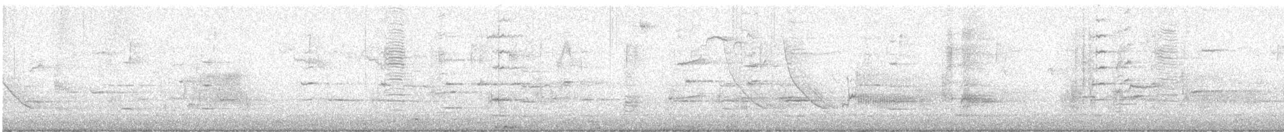 Common Grackle - ML647492758