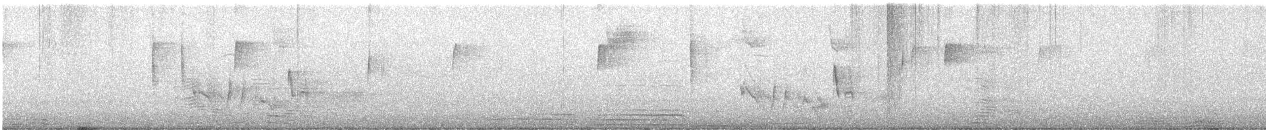 White-eyed Vireo - ML647492888