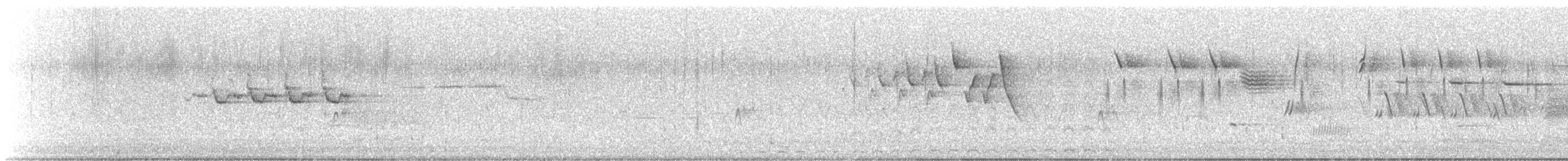 Yellow-rumped Warbler - ML647492897