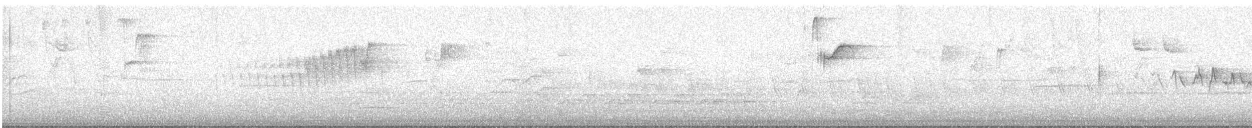 Yellow-rumped Warbler (Myrtle) - ML647493050