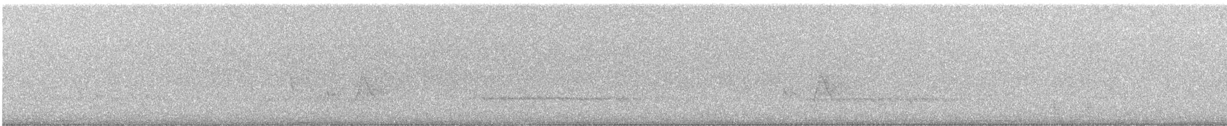 Brown-headed Cowbird - ML647493472