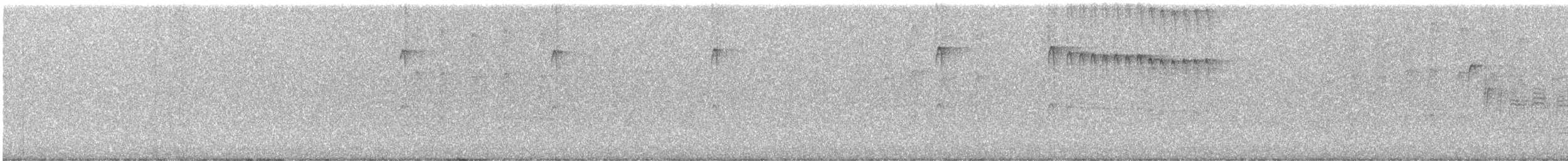 Downy Woodpecker - ML647493539