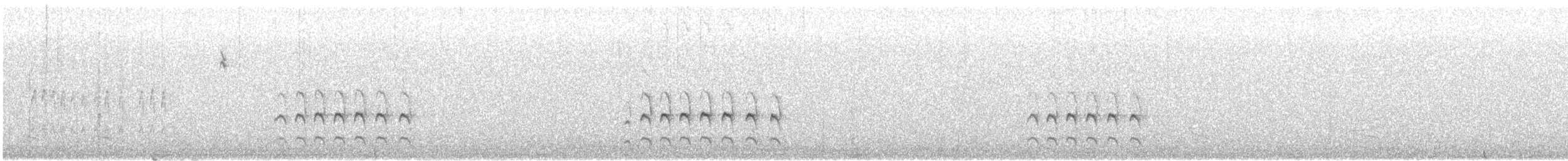 Paramo Tapaculo - ML647494044