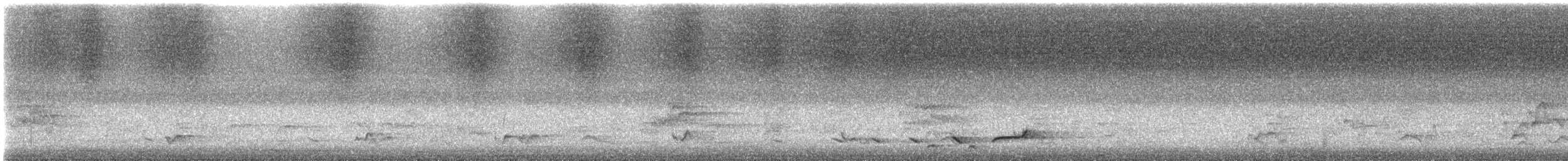 Gray Shrikethrush - ML647494750