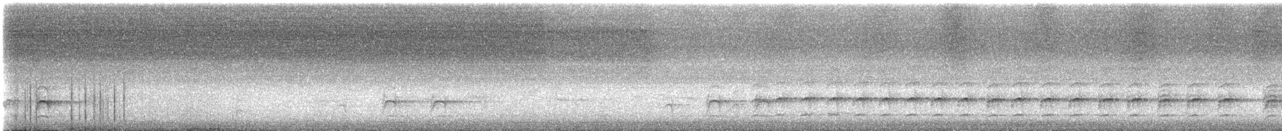 Sacred Kingfisher - ML647494951