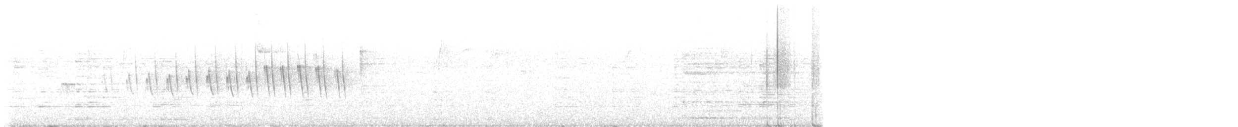 Grace's Warbler - ML647495001