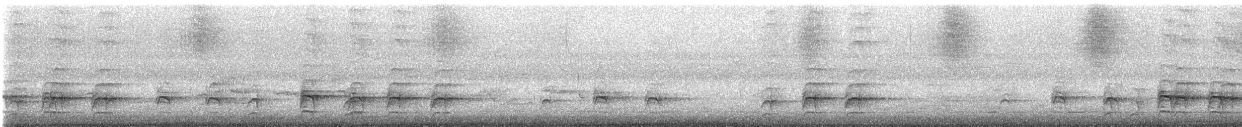 Sacred Kingfisher - ML647495565