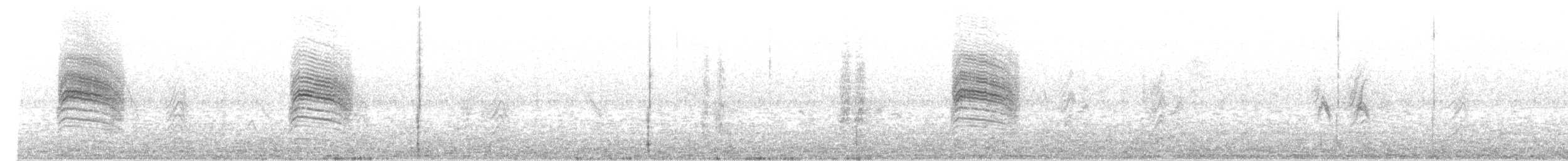 Gobemoucheron à queue noire - ML647496257