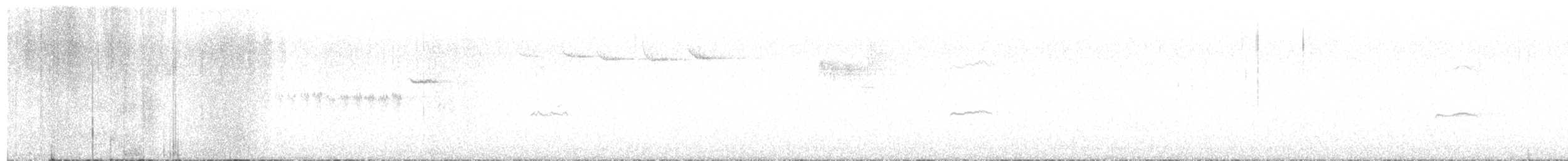 Steller's Jay - ML647497033