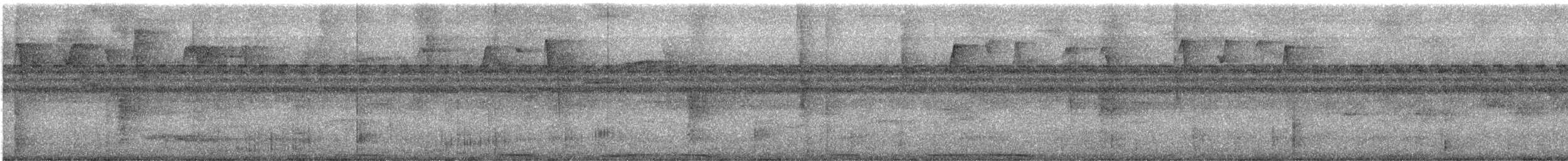 Scaled Pigeon - ML647497058