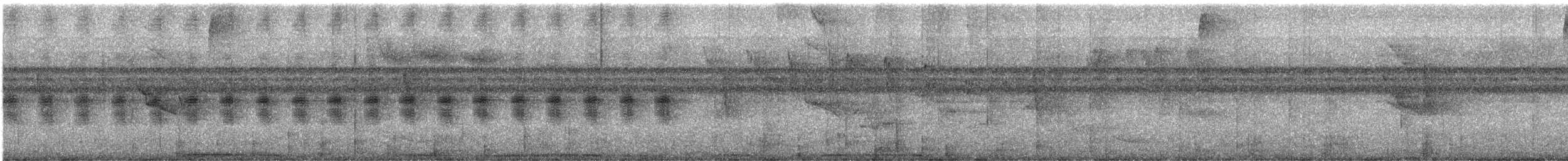 Scaled Pigeon - ML647497061