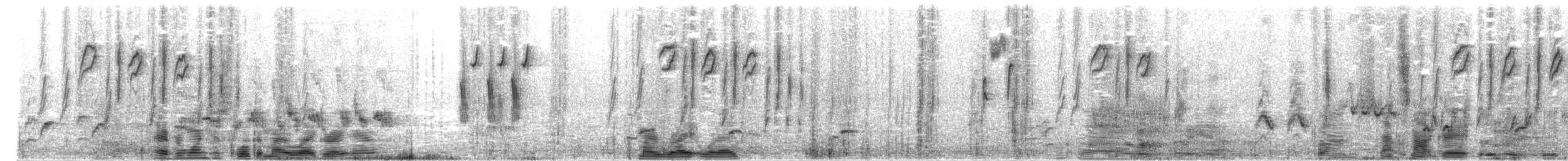 Five-striped Sparrow - ML647497321