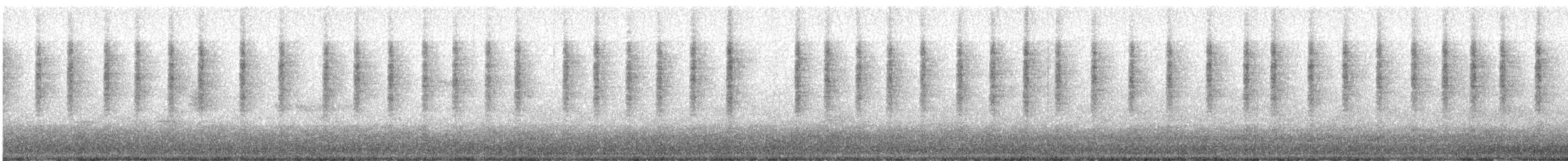 Marsh Wren - ML647497387