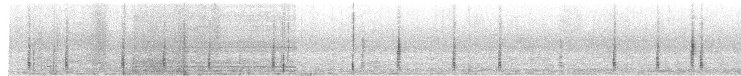 Brewer's Blackbird - ML647497512