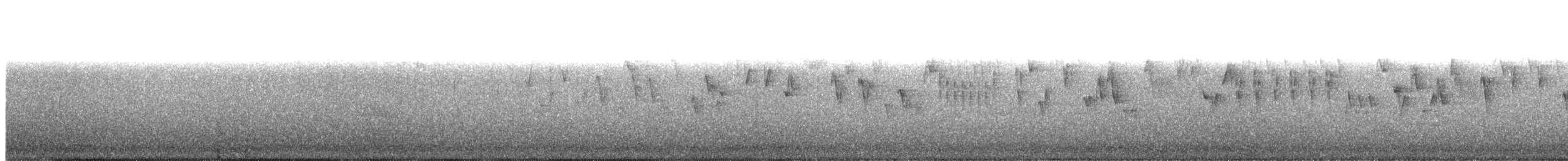 Pacific Wren - ML647497570