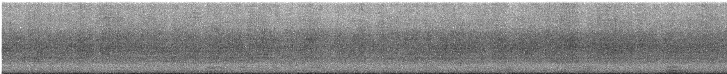 sotstær - ML647497624