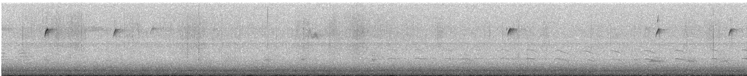 Red-breasted Nuthatch - ML647498058