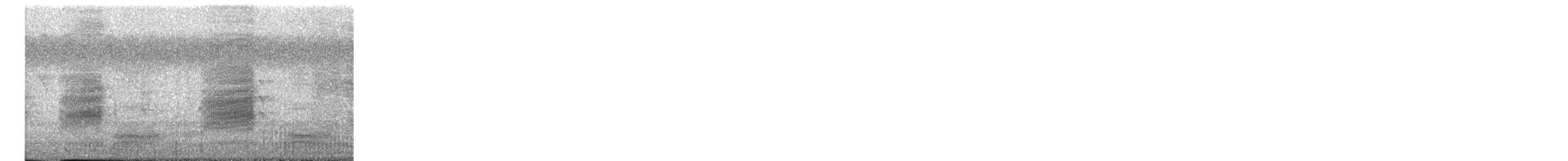 Long-tailed Shrike - ML647498205