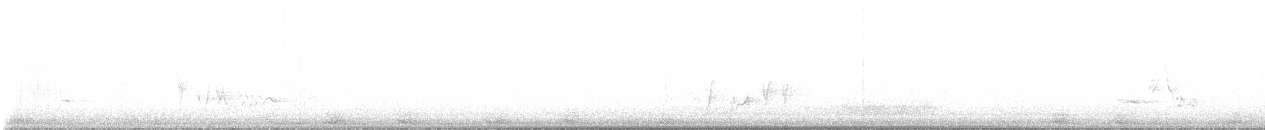 Townsend's Solitaire - ML647498548