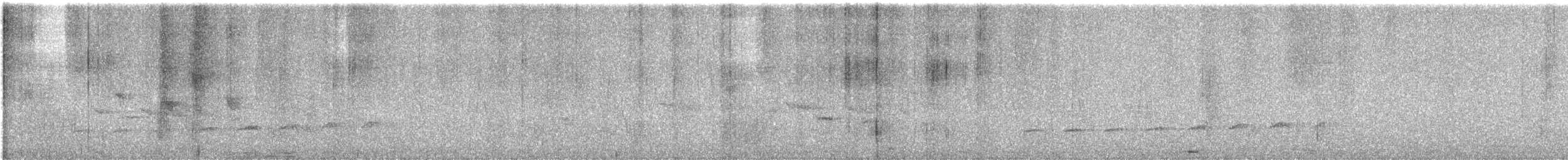 Fork-tailed Drongo-Cuckoo - ML647498686