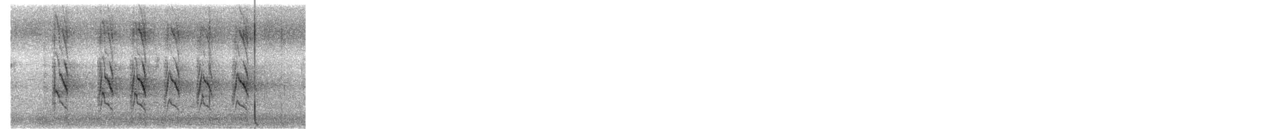 Rose-ringed Parakeet - ML647498688