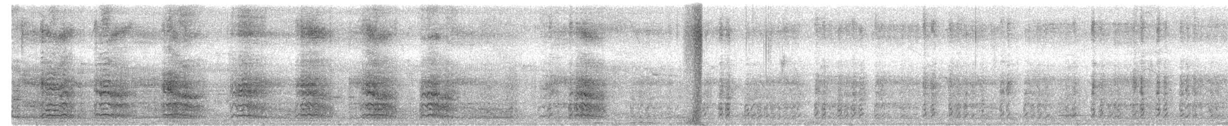 白腹秧雞 - ML647498943