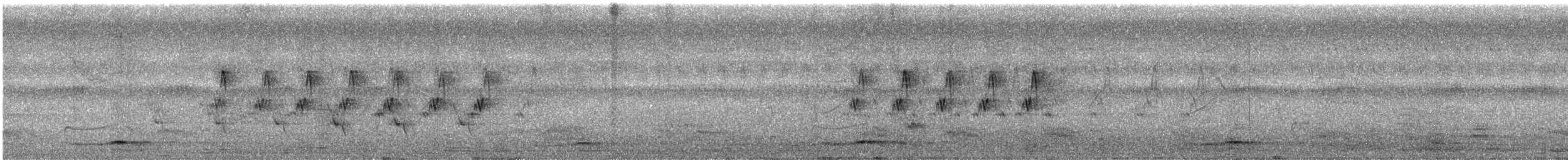 Asian Koel - ML647498993