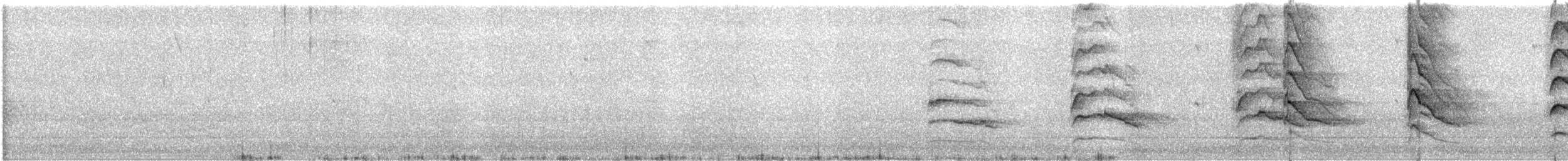 Shikra - ML647499069