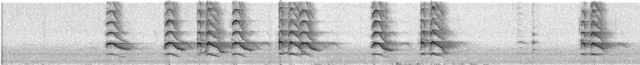 Shikra - ML647499070