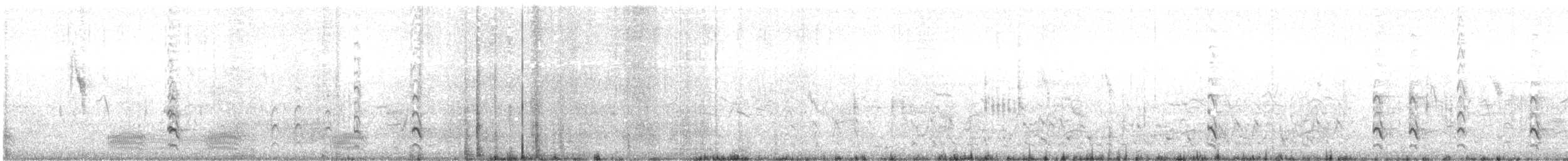 Black-tailed Godwit - ML647499079