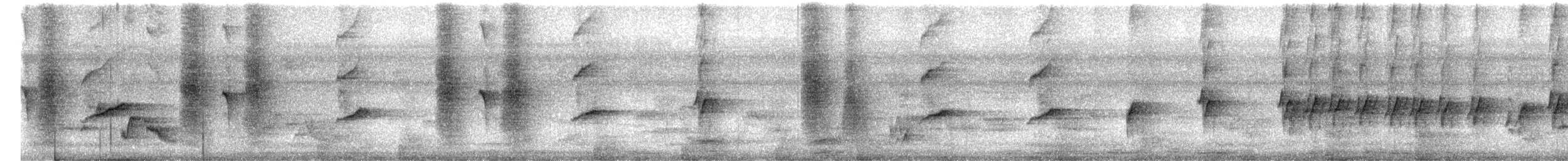 Ashy Drongo - ML647499120