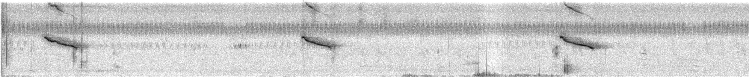 Oriental Magpie-Robin - ML647499156